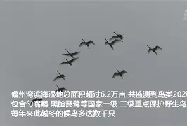KQ╡裈{萠?羣勺簿o9-s15全球总决赛
